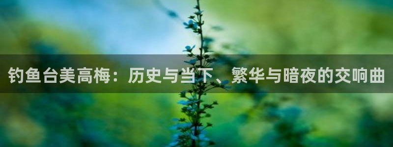 银河娱乐体育平台开号链接：钓鱼台美高梅：历史与当下、繁华与暗夜的交响曲