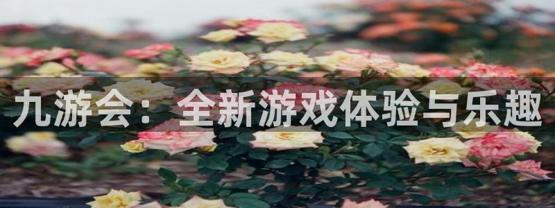 银河娱乐现在优惠多少：九游会：全新游戏体验与乐趣