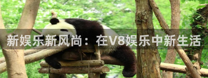 银河娱乐游戏有哪些好玩的：新娱乐新风尚：在V8娱乐中新生活