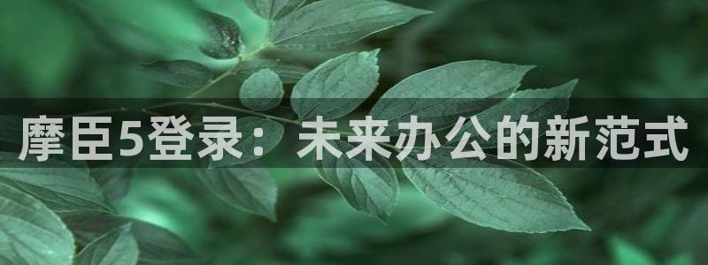 银河娱乐游戏有哪些好玩的：摩臣5登录：未来办公的新范式