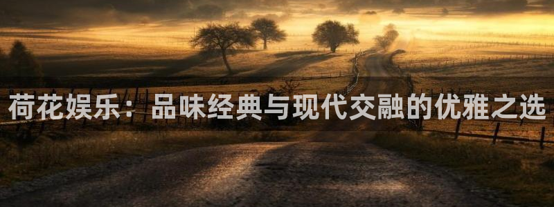 成都银河娱乐电子有限公司：荷花娱乐：品味经典与现代交融的优雅之选