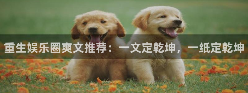 银河娱乐体育官网注册：重生娱乐圈爽文推荐：一文定乾坤，一纸定乾坤