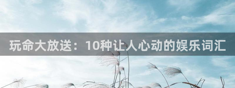 银河娱乐体育3在线注册：玩命大放送：10种让人心动的娱乐词汇