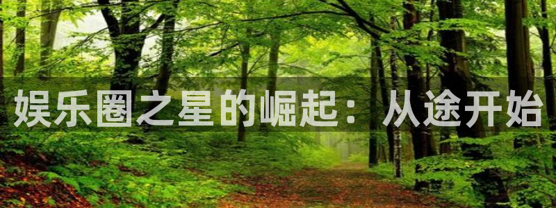 银河娱乐游戏有哪些好玩的：娱乐圈之星的崛起：从途开始