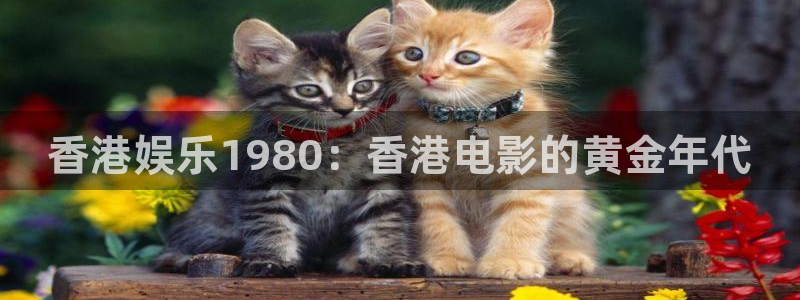 银河娱乐平台在线开户