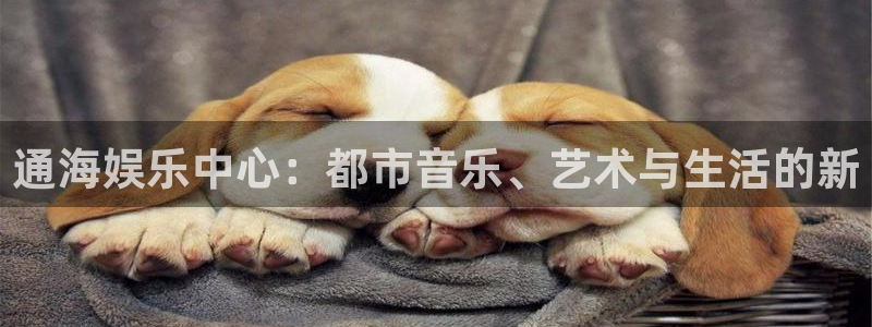 银河娱乐体育1招商