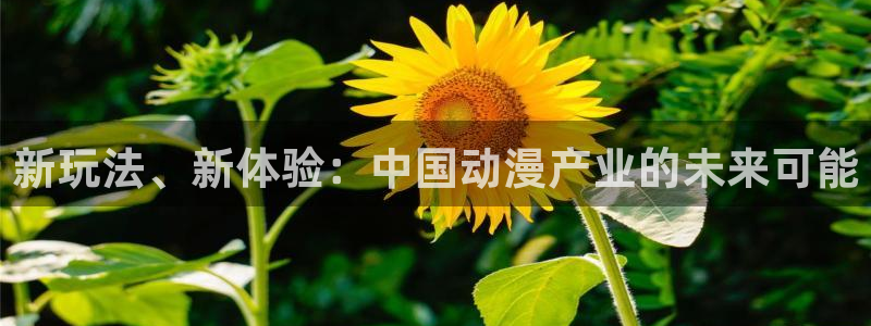 银河娱乐vk：新玩法、新体验：中国动漫产业的未来可能