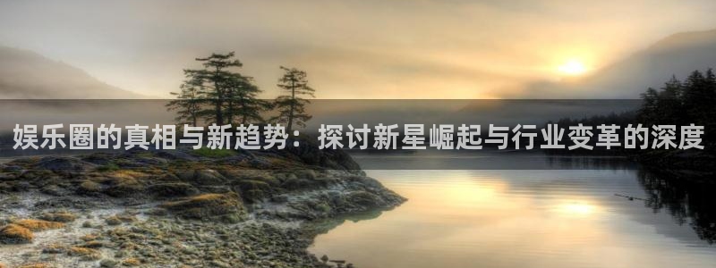 银河娱乐股份：娱乐圈的真相与新趋势：探讨新星崛起与行业变革的深度