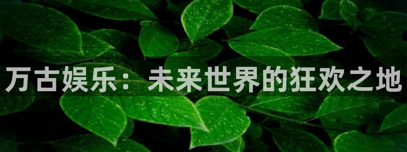 银河娱乐3注册：万古娱乐：未来世界的狂欢之地