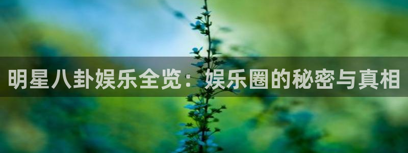 银河娱乐：明星八卦娱乐全览：娱乐圈的秘密与真相