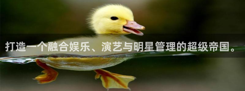 银河娱乐体育凯捷登陆：打造一个融合娱乐、演艺与明星管理的超级帝国。