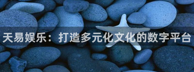 银河娱乐5：天易娱乐：打造多元化文化的数字平台