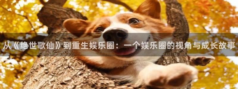 银河娱乐体育平台开号链接：从《绝世歌仙》到重生娱乐圈：一个娱乐圈的视角与成长故事