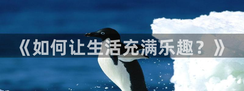 成都银河娱乐电子有限公司：《如何让生活充满乐趣？》