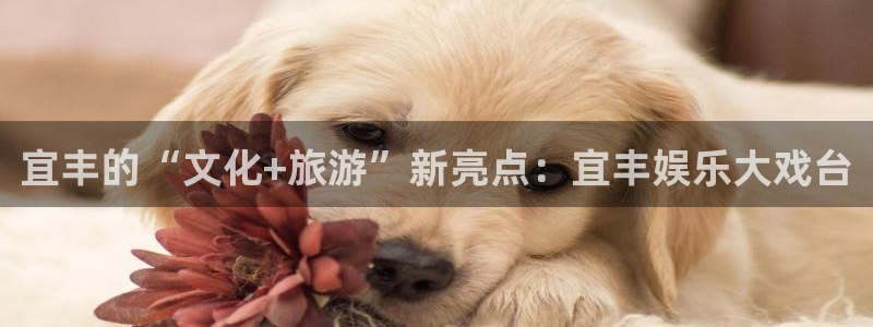 银河娱乐体育老板是谁：宜丰的“文化+旅游”新亮点：宜丰娱乐大戏台