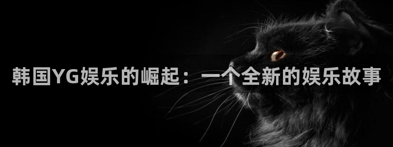 银河娱乐3平台注册：韩国YG娱乐的崛起：一个全新的娱乐故事