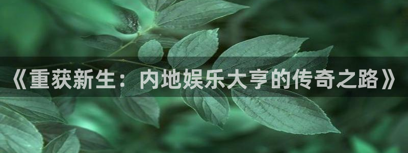 银河娱乐体育合法嘛：《重获新生：内地娱乐大亨的传奇之路》