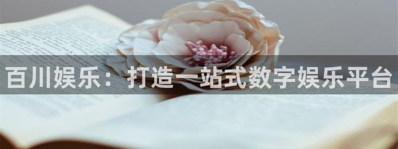 东莞市银河娱乐电子科技有限公司：百川娱乐：打造一站式数字娱乐平台
