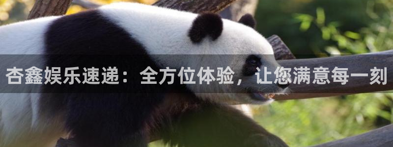 成都银河娱乐电子有限公司：杏鑫娱乐速递：全方位体验，让您满意每一刻