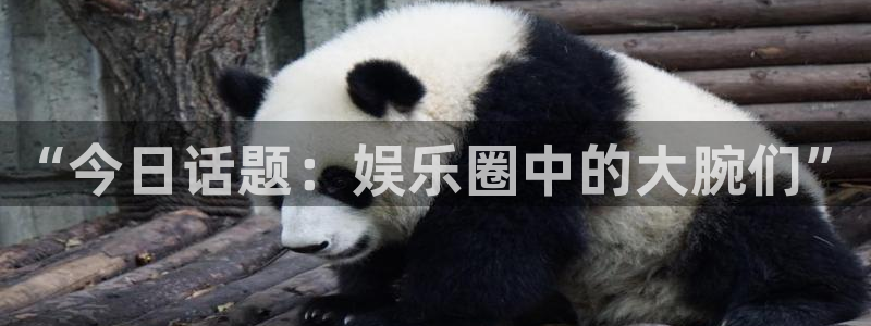 银河娱乐平台注册入口：“今日话题：娱乐圈中的大腕们”