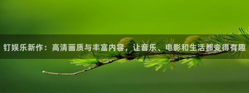 银河娱乐平台在线开户：钉娱乐新作：高清画质与丰富内容，让音乐、电影和生活都变得有