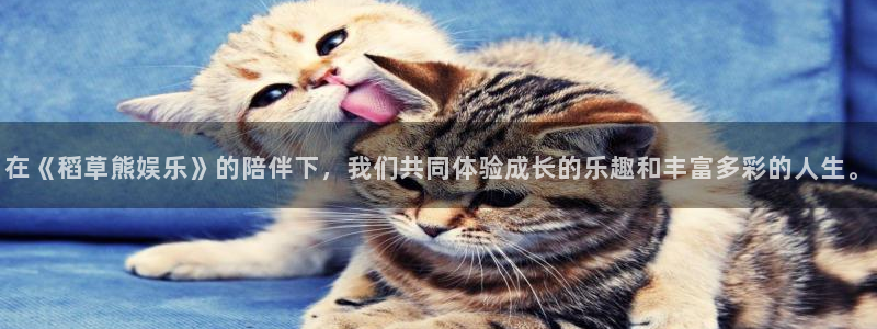 银河娱乐代理注册官网入口：在《稻草熊娱乐》的陪伴下，我们共同体验成长的乐趣和丰富