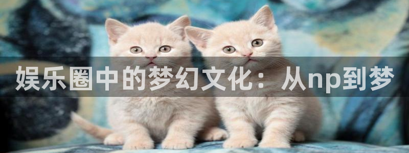银河娱乐4：娱乐圈中的梦幻文化：从np到梦